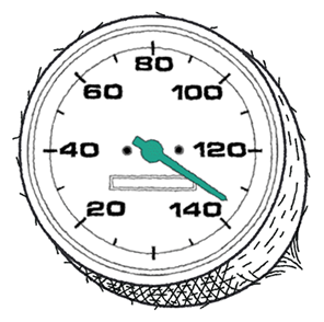 speedometer in coconut